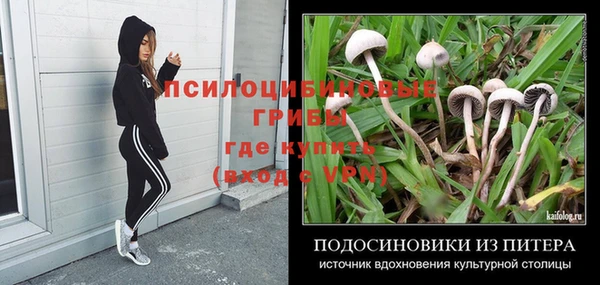 mdpv Бронницы