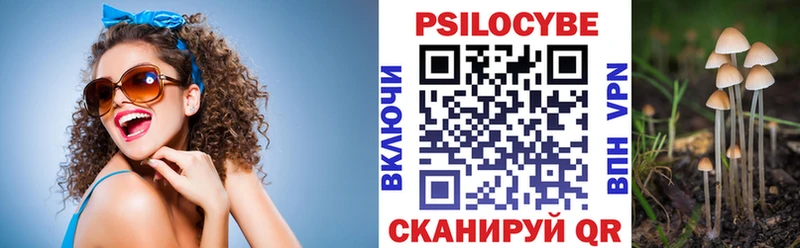 Купить где  Мичуринск  Галлюциногенные грибы Cubensis 